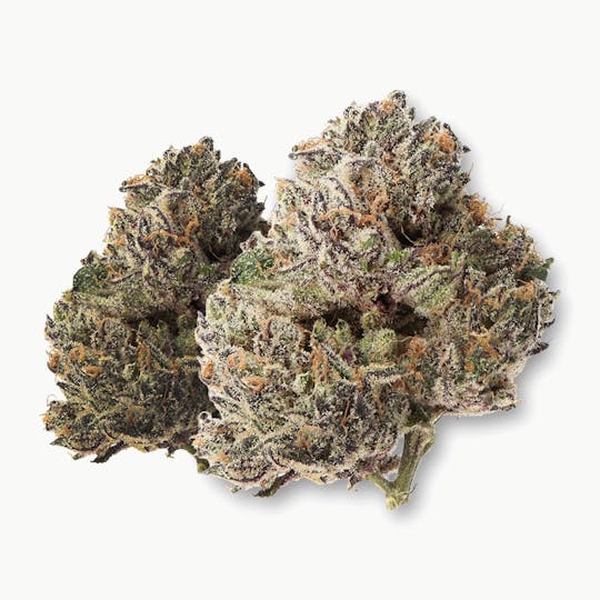 Life Is Not Grape - Dark Tears - 1