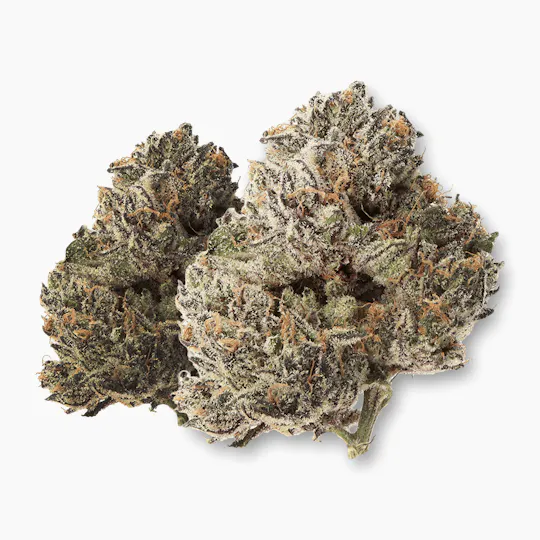 Life Is Not Grape - Dark Tears | Big Buds | 3.5g - 1