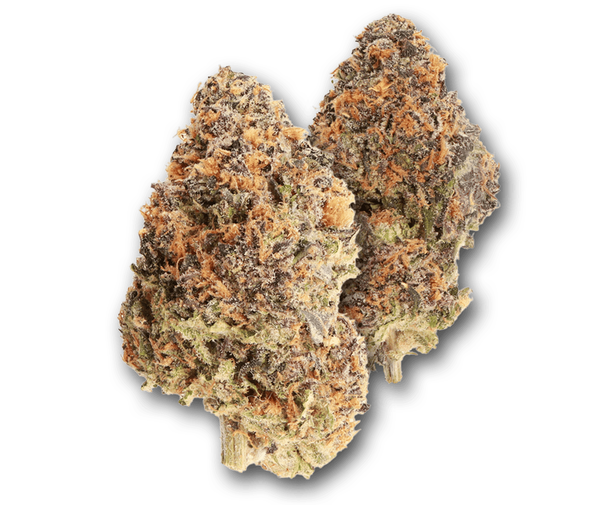 Life Is Not Grape - Delizia Al Limone | Big Buds | 3.5g - 1