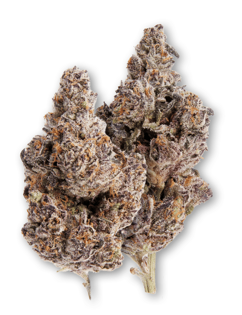 Life Is Not Grape - Red Pillz | Big Buds | 3.5g - 1