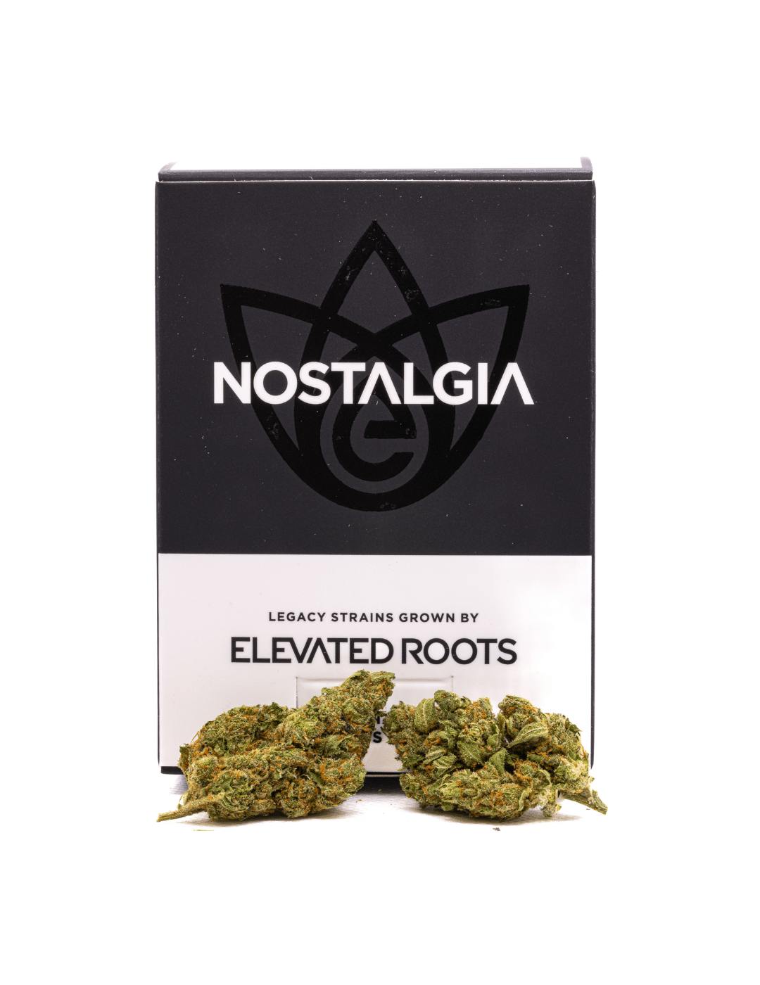 Nostalgia - Nostalgia | Glazed Apricot Gelato | Modern | Flower | 7g - 1