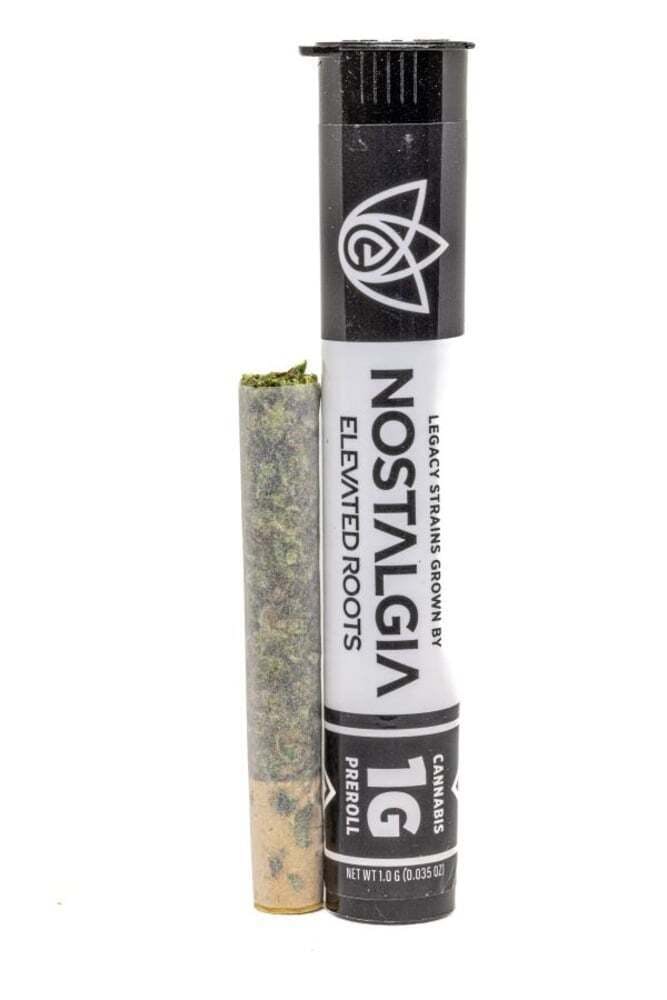 Nostalgia - Nostalgia | Bacio Gelato | Modern | Pre Roll | 1g - 1