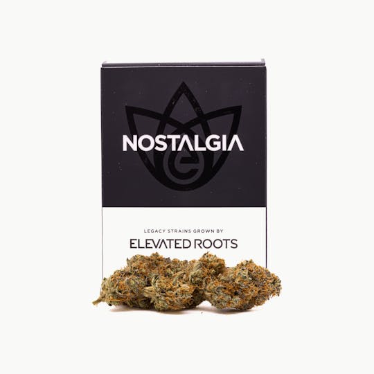 Nostalgia - Nostalgia | Pineapple Fruz | Modern | Flower | 7g - 1