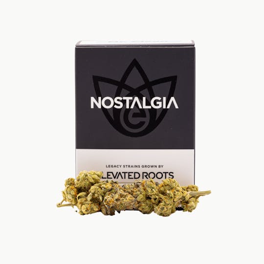 Nostalgia - Nostalgia | Gelonade | Modern | Flower | 7g - 1