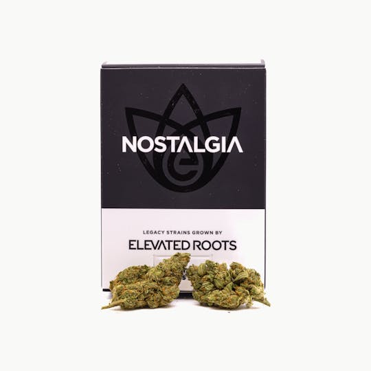 Nostalgia - Nostalgia | Glazed Apricot Gelato | Modern | Flower | 3.5g - 1