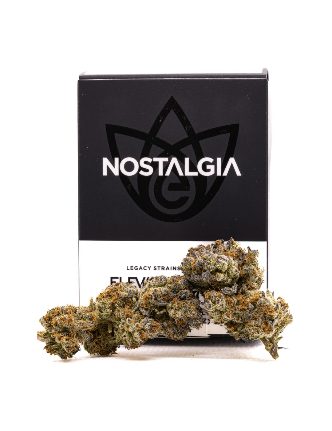 Nostalgia - Nostalgia | Apple Fritter | Modern | Flower | 7g - 1