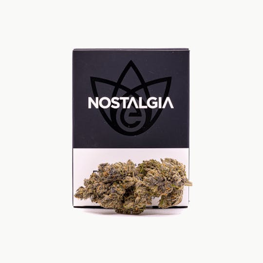 Nostalgia - Nostalgia | Watermelon Zkittlez | Modern | Flower | 28g - 1