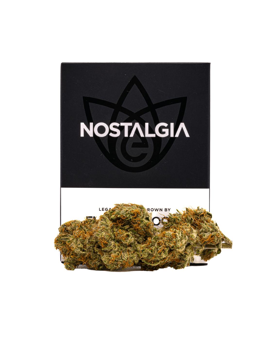 Nostalgia - Nostalgia | Blackberry Cream | Modern | Flower | 28g - 1
