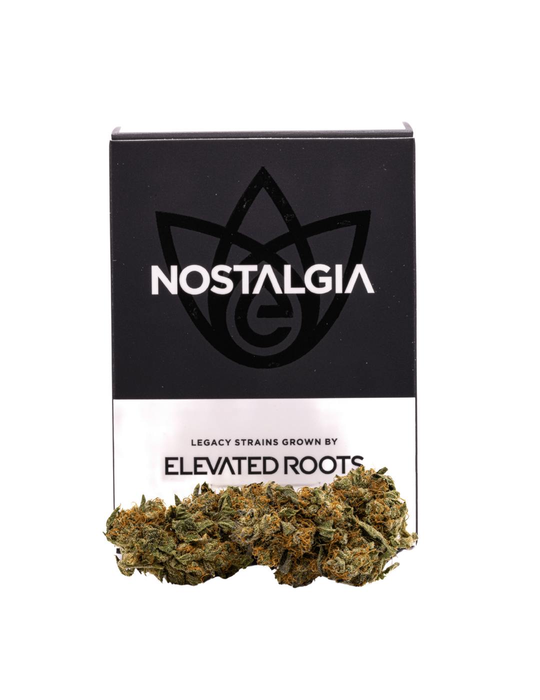 Nostalgia - Nostalgia | Ice Cream Cake | Modern | Flower | 28g - 1