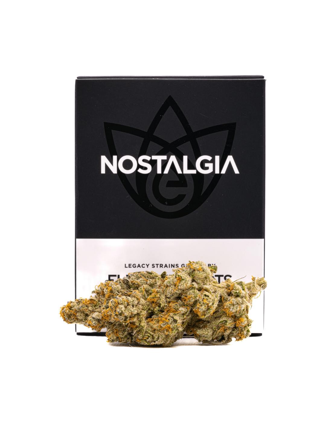Nostalgia - Nostalgia | White Apple Tartz | Modern | Flower | 28g - 1
