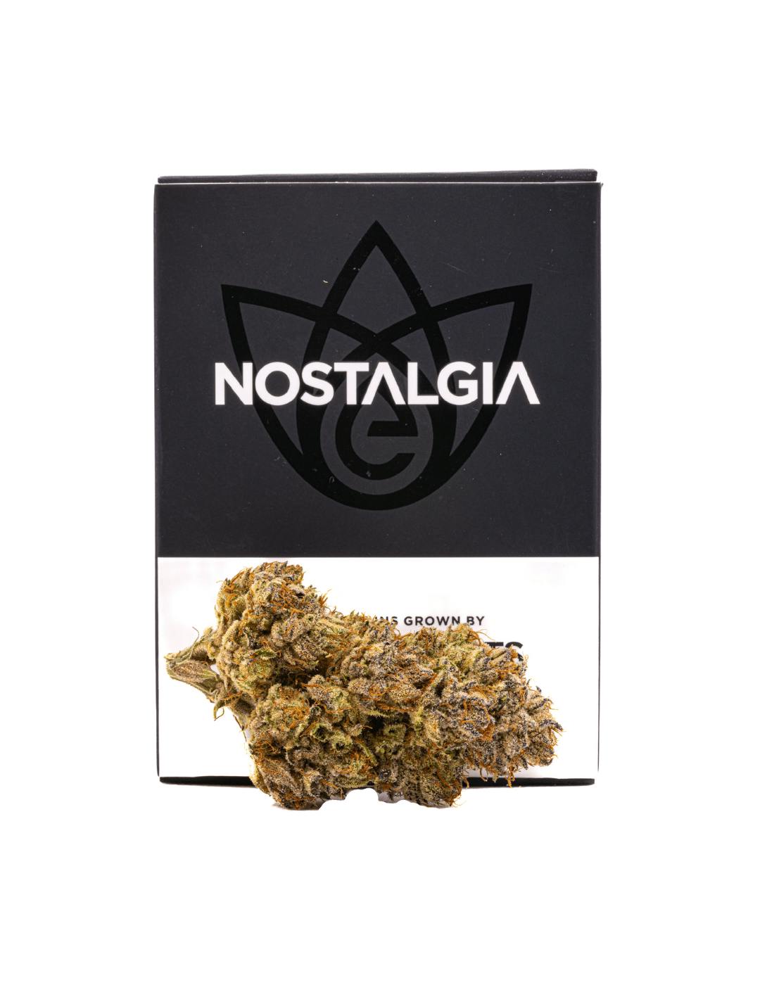 Nostalgia - Nostalgia | Vanilla Frosting | Modern | Flower | 14g - 1