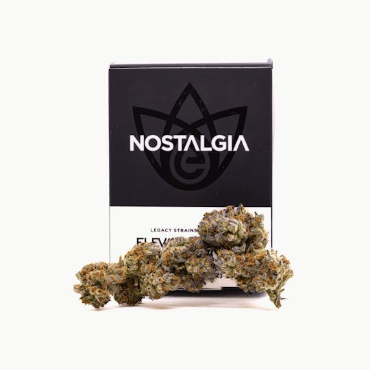 Nostalgia - Nostalgia | Apple Fritter | Modern | Flower | 3.5g - 1