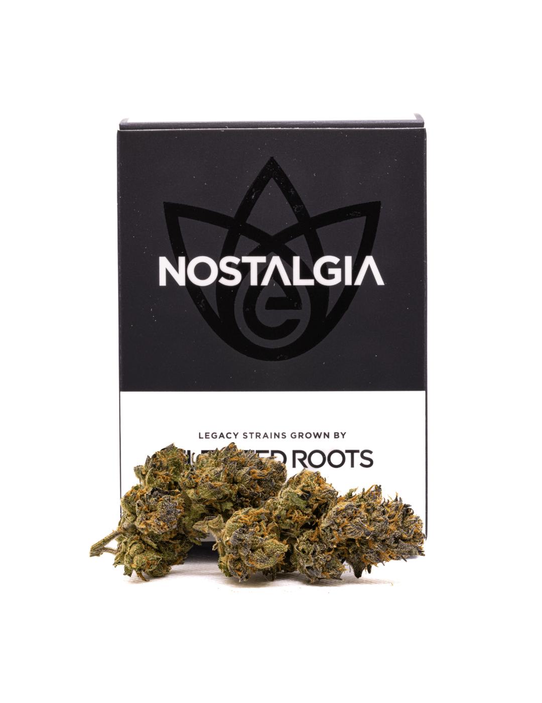 Nostalgia - Nostalgia | White Runtz | Modern | Flower | 28g - 1