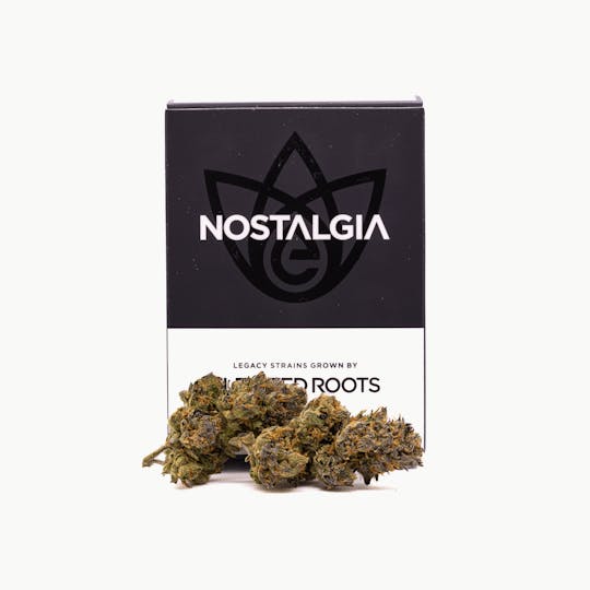 Nostalgia - Nostalgia | White Runtz | Modern | Flower | 28g - 1