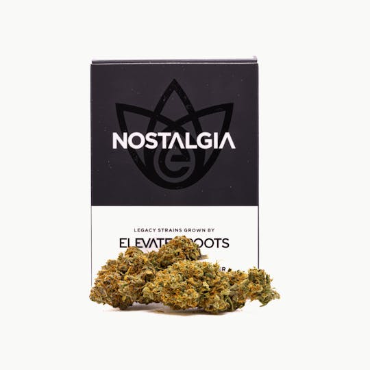 Nostalgia - Nostalgia | Chemdawg 91 | Modern | Flower | 14g - 1
