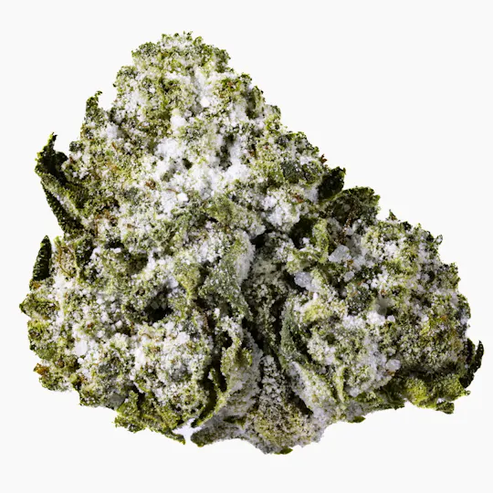 West Coast Cure - Jokerz Gelato - 14G Diamond Infused Premium Flower - 1