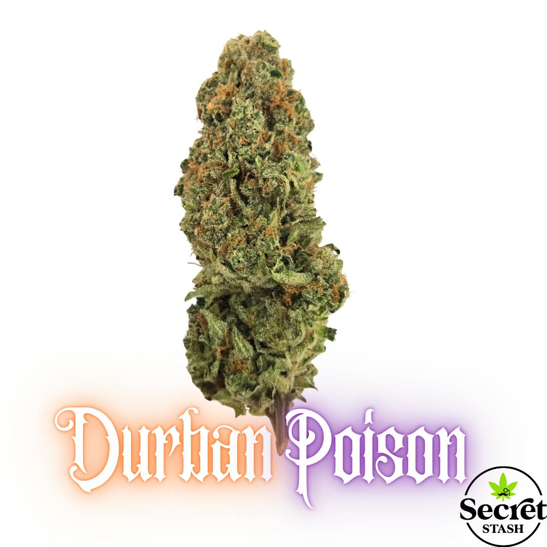 Secret Stash - Secret Stash | Flower | Durban Poison | G - 1