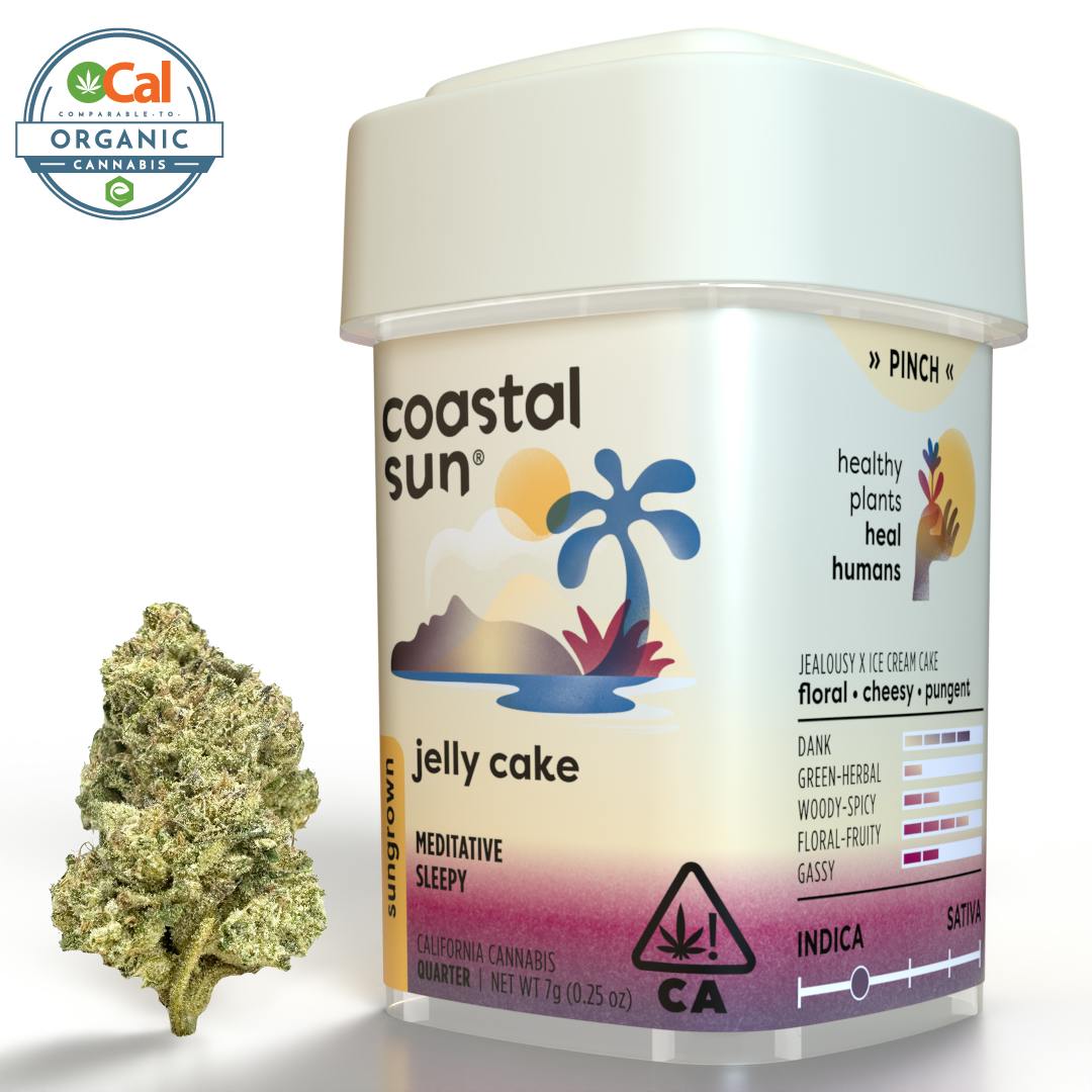 Coastal Sun - Jelly Cake Sungrown Flower 7g - 1