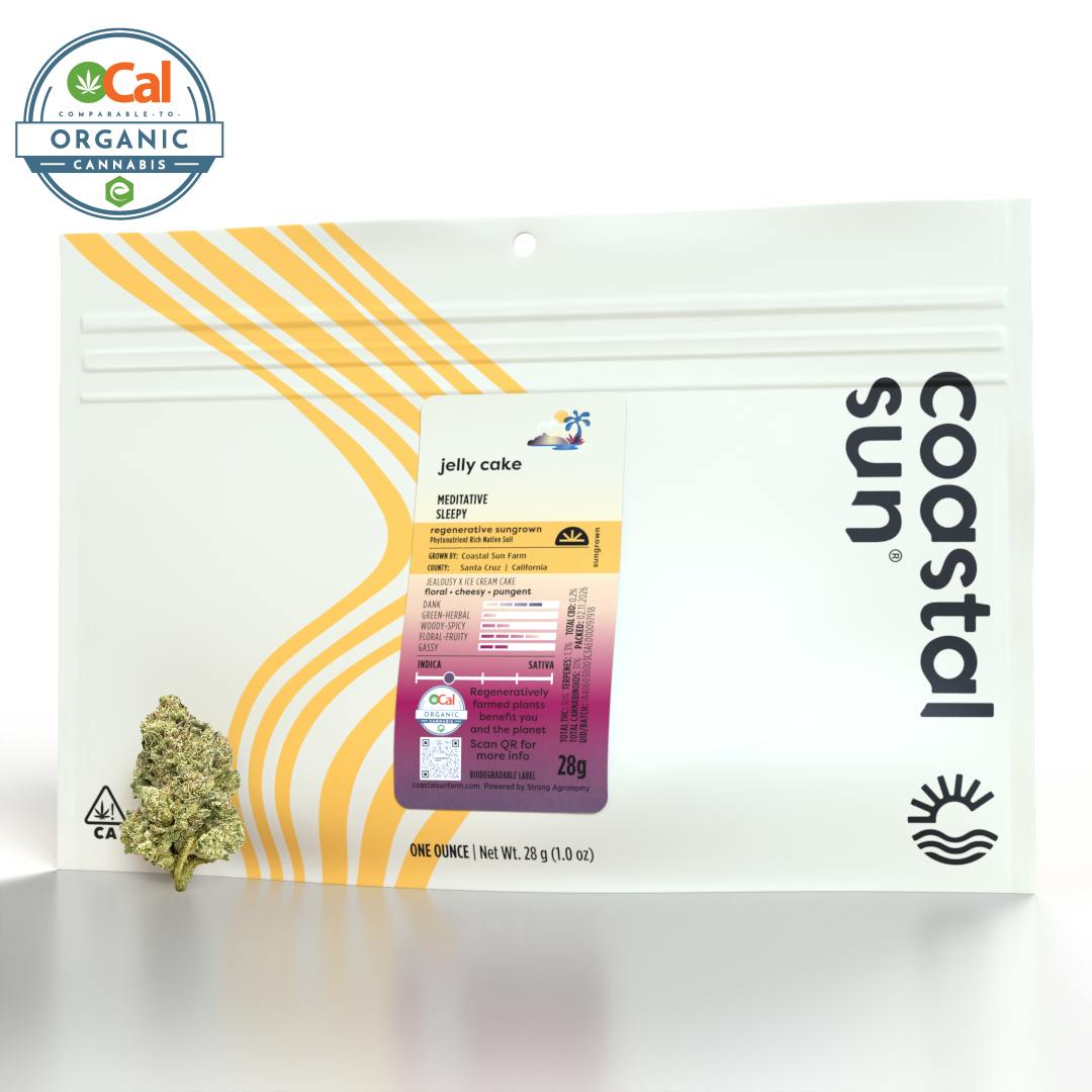 Coastal Sun - Jelly Cake Sungrown Flower 28g - 1