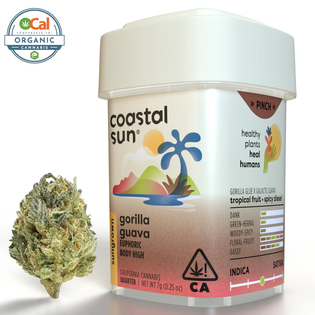 Coastal Sun - Gorilla Guava Sungrown Flower 7g - 1