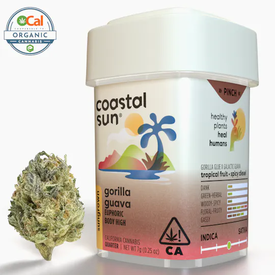Coastal Sun - Gorilla Guava Sungrown Flower 7g - 1