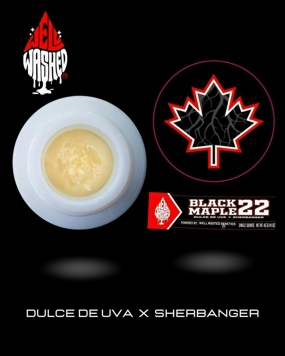 Well Washed Concentrate - Well Washed | Black Maple 22 | Live Rosin | 1g - 1