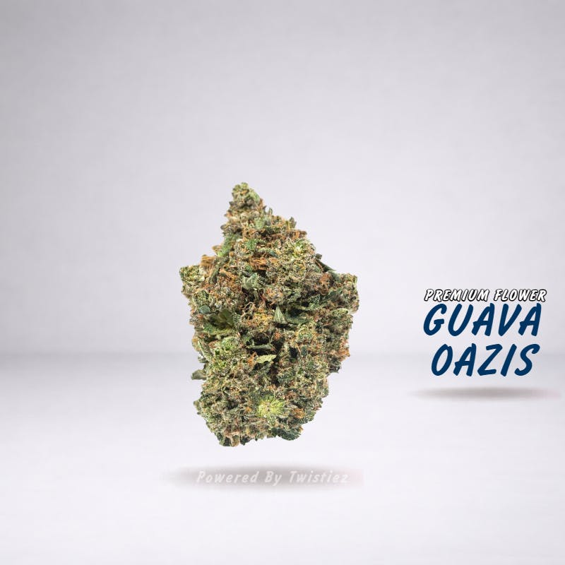 Twistiez - Guava Oazis - Premium Flower - (14g - 1/2oz) - Hybrid - 1