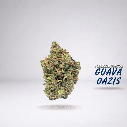 Twistiez - Guava Oazis - Premium Flower - (3.5g - 1/8oz) - Hybrid - 1