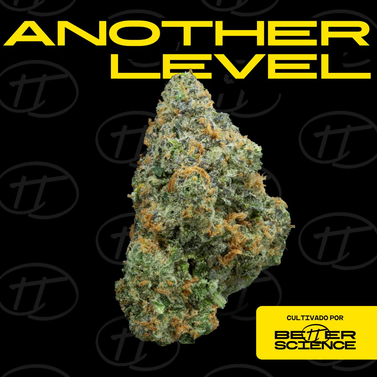 Better Science - BSC - Another Level - Flor - 1