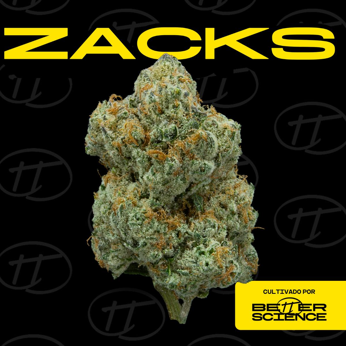 Better Science - BSC - Zacks Cake - Smalls - 1