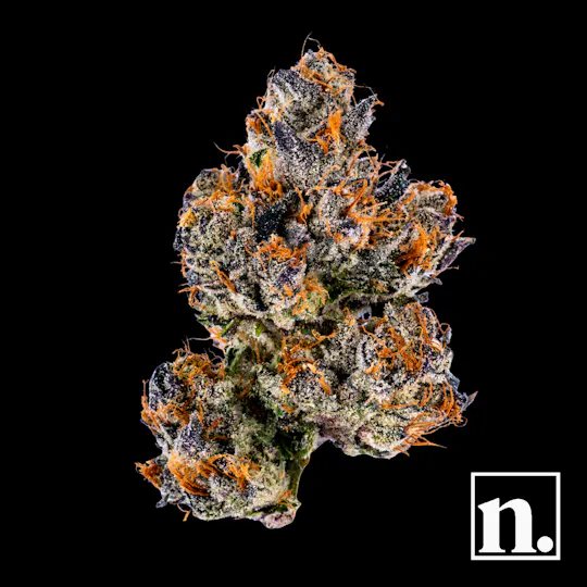 Niche - Lemon Cherry Gelato | 3.5g - 1