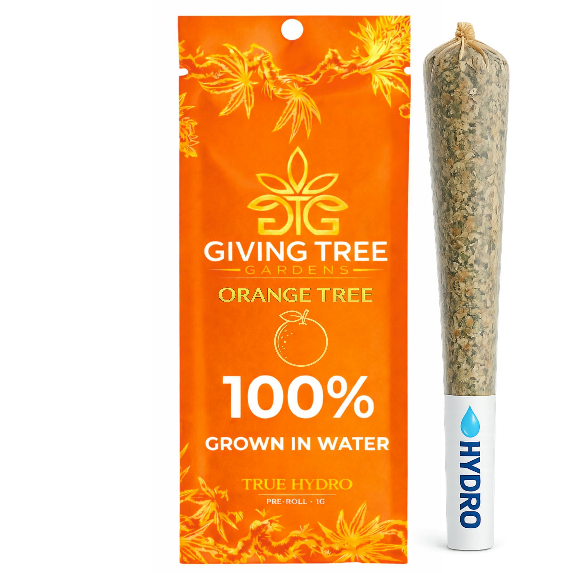 Giving Tree Gardens - Orange Tree – 1G Pre-Roll (True Hydro | Non-Infused | 100% Water-Grown) - 1