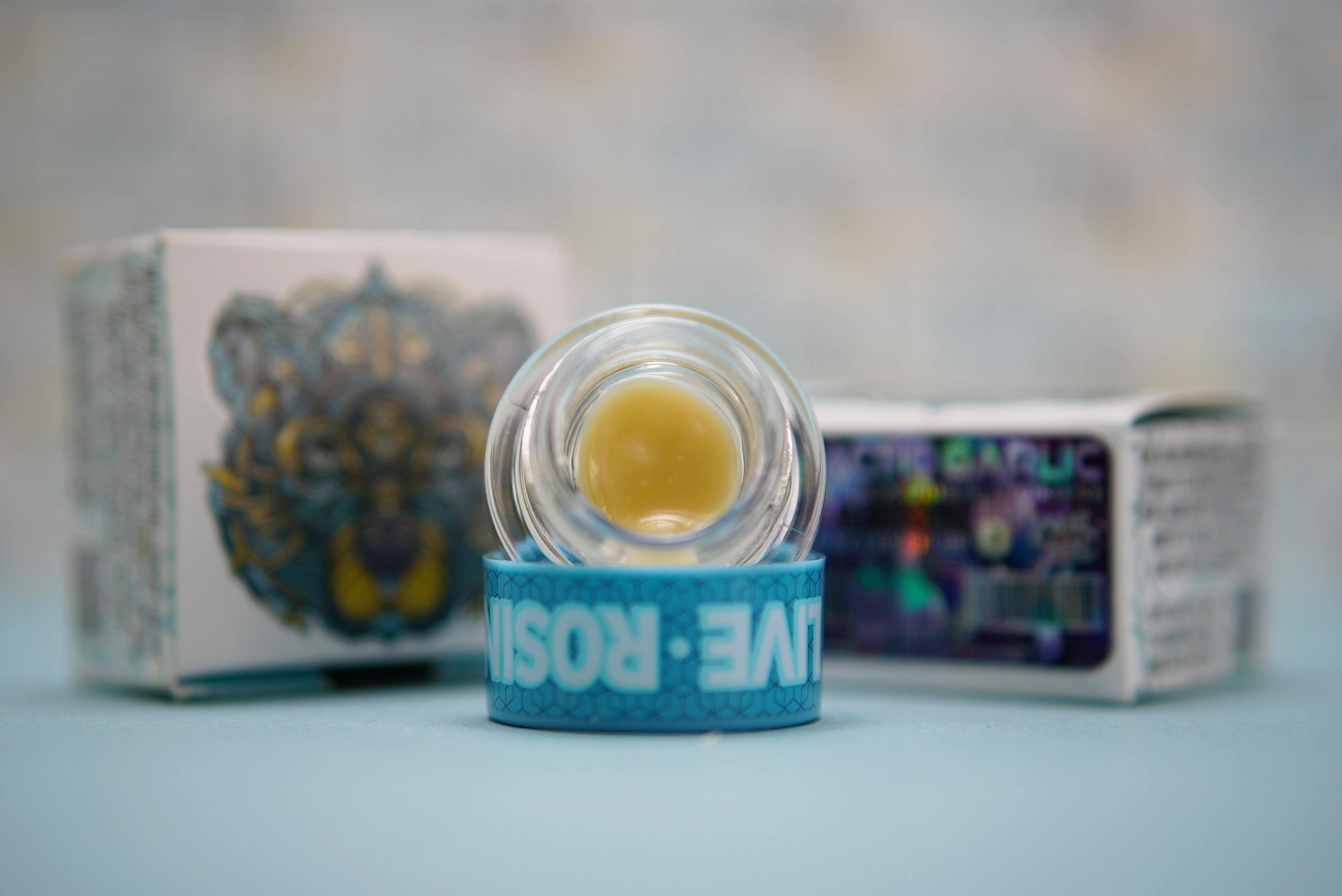 Bear Labs - BEAR Labs - Galactic Garlic - Rosin Tier 3 - 1