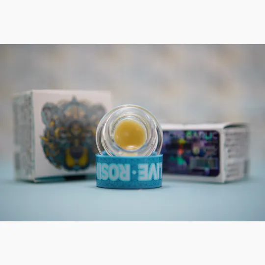 Bear Labs - BEAR Labs - Galactic Garlic - Rosin Tier 3 - 1