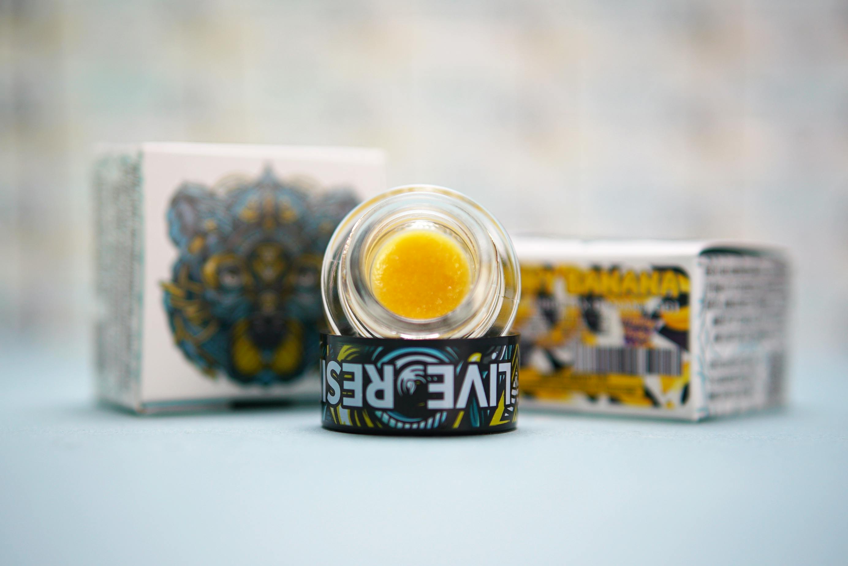 Bear Labs - BEAR Labs - Donny Banana - Sauce - 1