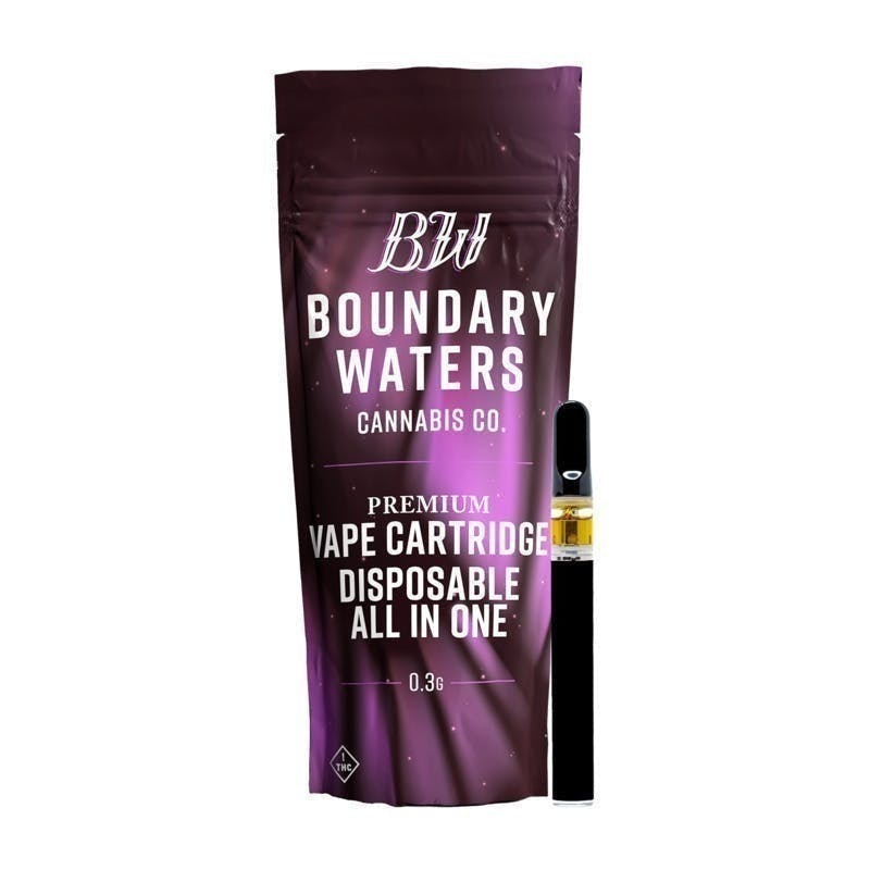 Boundary Waters - Galactic Grape | Disposable | 0.3g - 1