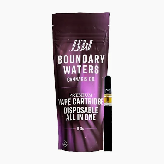 Boundary Waters - Galactic Grape | Disposable | 0.3g - 1