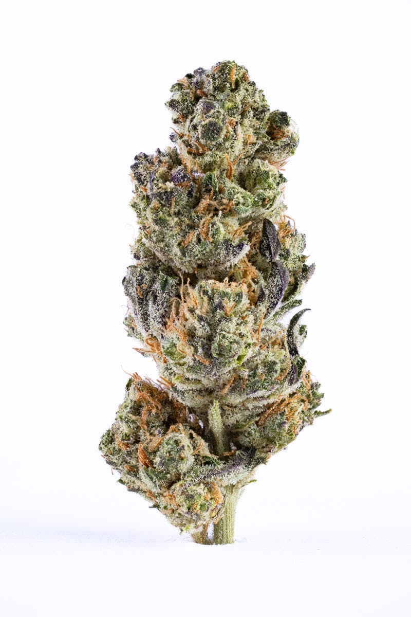 MR. ZIPS - MR. ZIPS | Gorilla Glue | Indica | Flower | 3.5g - 1