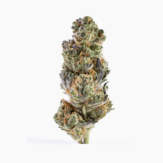 MR. ZIPS - MR. ZIPS | Gorilla Glue | Indica | Flower | 3.5g - 1