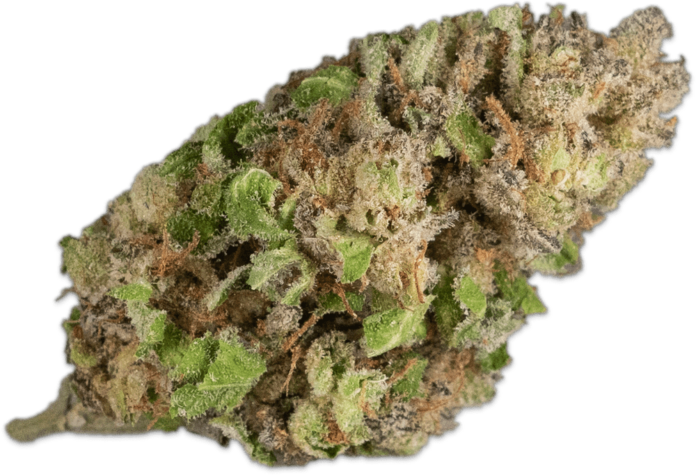 SugarTop Buddery - Kush Cream Cake - 1