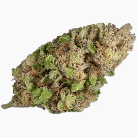 SugarTop Buddery - Kush Cream Cake - 1