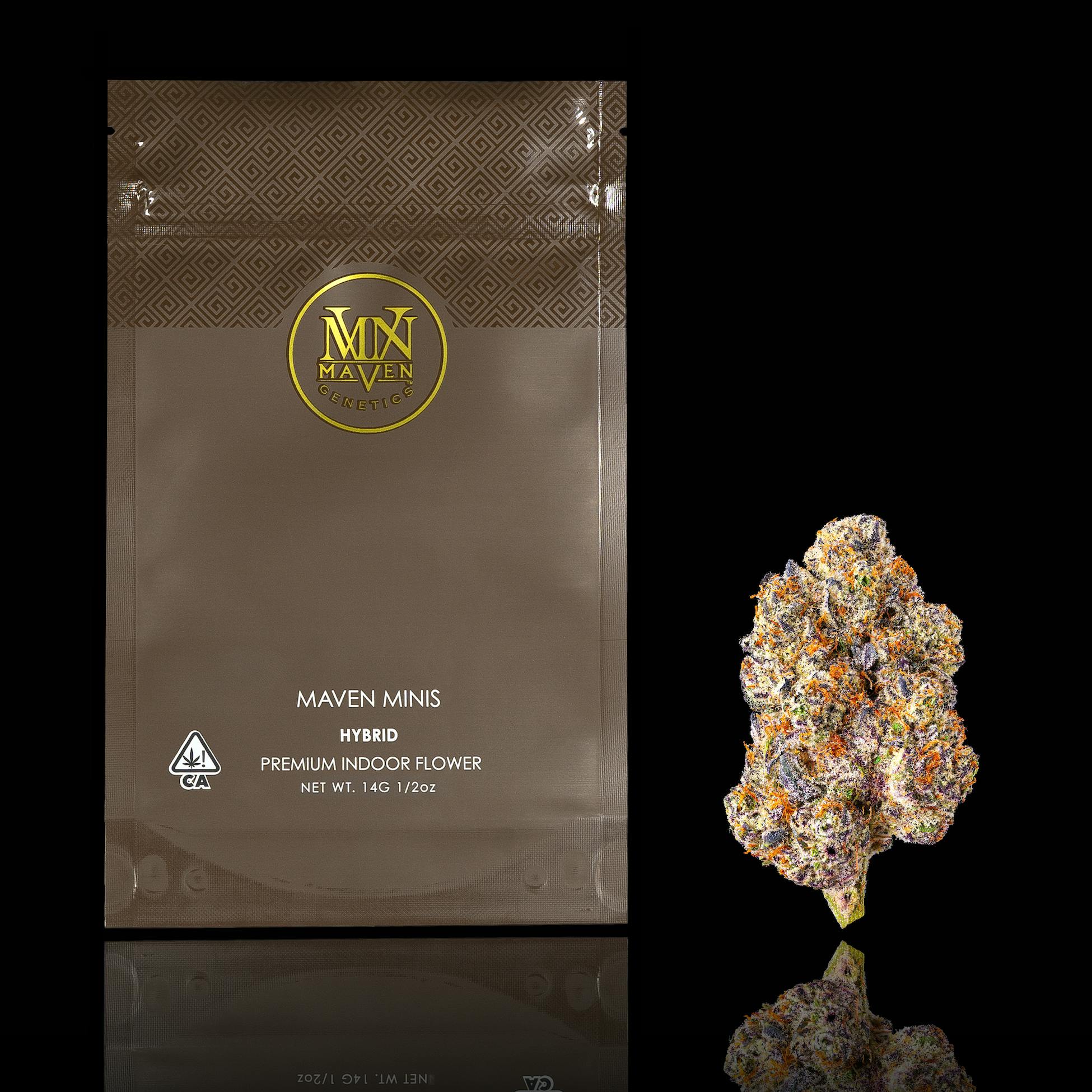 Maven Genetics - Parisian Kush Maven Minis [14g] - 1