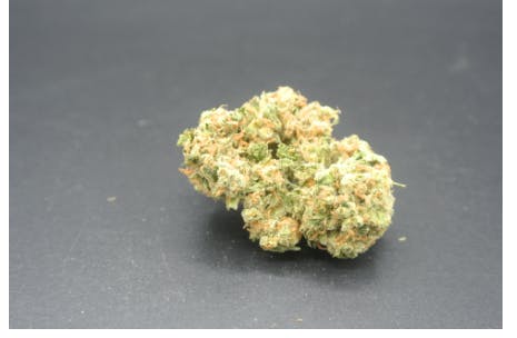 Hoodview Cannabis - Guo 168 | Blueberry Muffin Flower - 1