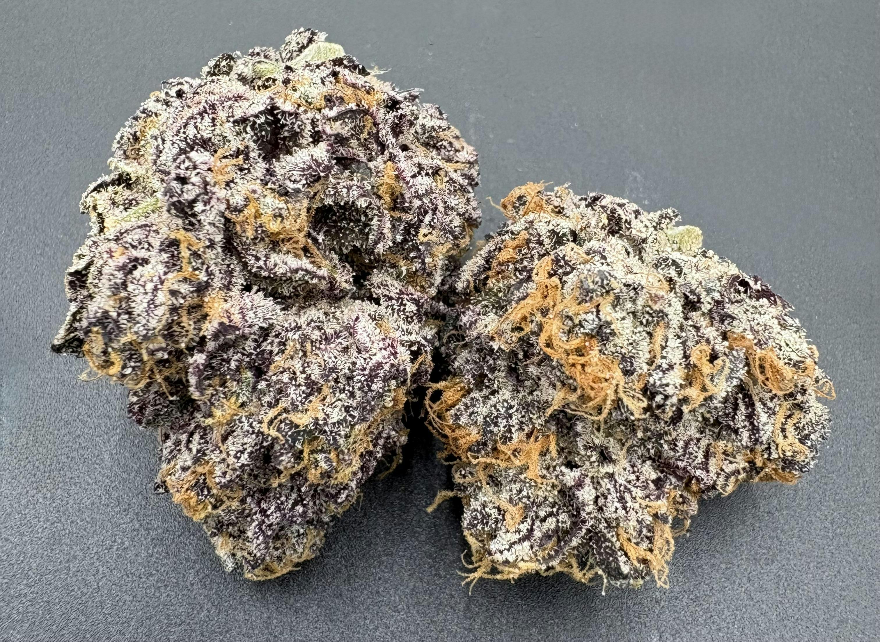 Hoodview Cannabis - Legacy | Gas Monkey Flower - 1