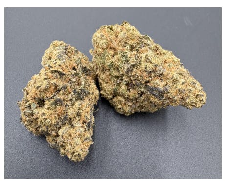 Hoodview Cannabis - Angel Hill | Berry Pie Flower - 1