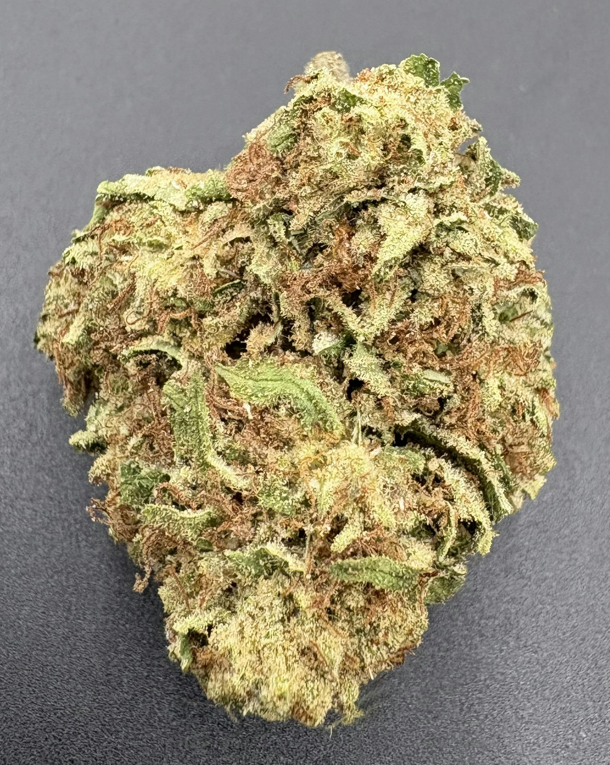 Hoodview Cannabis - Williams Wonder | Mimosa Flower - 1