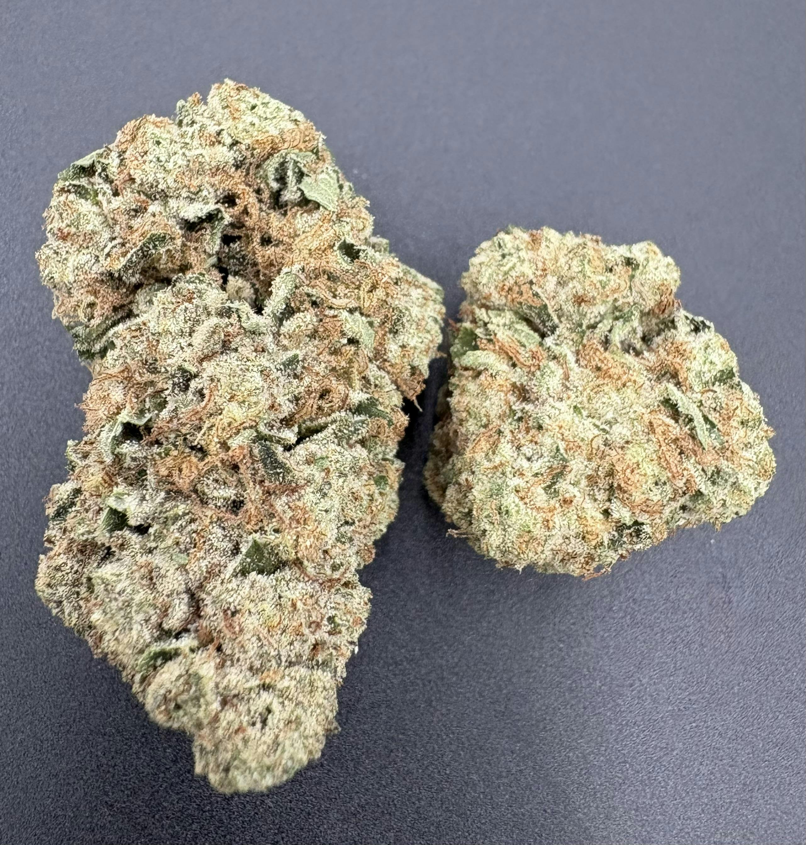 Hoodview Cannabis - Williams Wonder | Purple Punch Flower - 1
