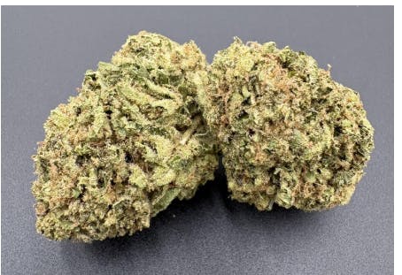 Hoodview Cannabis - Bliss Cultivation | Jiffy Sherbert 23 Flower - 1