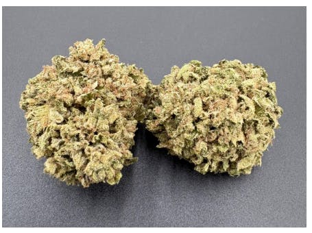 Hoodview Cannabis - Bliss Cultivation | Honeycomb Pave Flower - 1