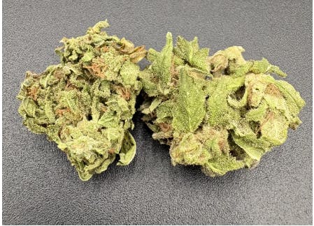 Hoodview Cannabis - Cascade Chronic | Sur Smoke Alot Flower - 1